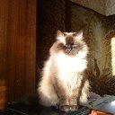 ���� ����, ������, 64 ���� - ��������� 7 ����� 2012 � ������ �RoadKing�