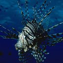 ���� ����� - ���������� ��������!!!, �����������, 56 ��� - ��������� 12 ������ 2010 � ������ ������