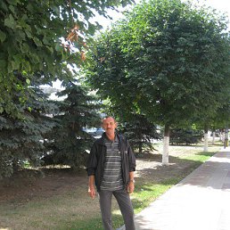 ���� ������, ��������, 61 ���