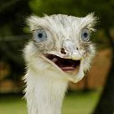 ���� Red, ������� - ��������� 16 ������ 2011 � ������ ���������������� :)�