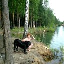 ���� ������, �����, 54 ���� - ��������� 26 ���� 2012