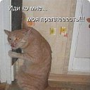 ���� �����������, �������, 53 ���� - ��������� 10 ��� 2011 � ������ �XXX�