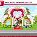 ���� *Hs*��������, �����-���������, 39 ��� - ��������� 9 ������� 2010 � ������ �PetLove�