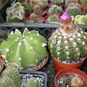 ���� ������, ������, 69 ��� - ��������� 5 ������ 2013 � ������ ���� ��������� ����������