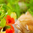 ���� ������, ������, 55 ��� - ��������� 18 �������� 2010 � ������ �������