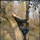 ���� ����������, �����������, 29 ��� - ��������� 8 ������ 2012 � ������ ���� ����������