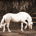 ���� "@����", �����-���������, 25 ��� - ��������� 26 ��� 2010 � ������ �������