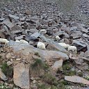 ���� Artiom, �����, 34 ���� - ��������� 16 ������� 2010 � ������ �Preroda�