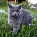 ������� ���������� ����� �� ������� ������