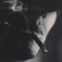 ���� �����, ������, 38 ��� - ��������� 22 ���� 2013