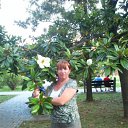 ���� O�����, �������, 46 ��� - ��������� 5 ���� 2013 � ������ ���� ����������