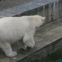 ���� ������� �����, ����������� - ��������� 29 ���� 2011 � ������ �������