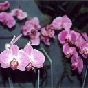 ���� ����. ��������� �� ��!, ������, 72 ���� - ��������� 13 ������ 2011 � ������ ��������