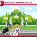  ,  -  18  2010   PetLove