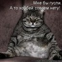 ���� ���������, ���������, 56 ��� - ��������� 25 �������� 2011 � ������ �������