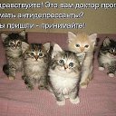 ���� �������, ������� - ��������� 16 ������ 2012 � ������ ��������� ���������