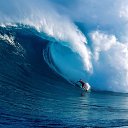 ���� ���� ��������, ������, 45 ��� - ��������� 24 �������� 2012 � ������ ���� ����������