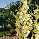  , , 50  -  1  2012   2012