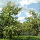 ���� ������, ������, 63 ���� - ��������� 6 ���� 2011 � ������ ��������. �����