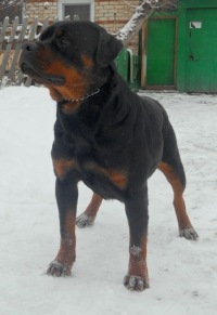 ���� ����, ������, 30 ��� - ��������� 25 ������ 2012