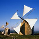 ���� ������, ������, 29 ��� - ��������� 20 ������� 2012