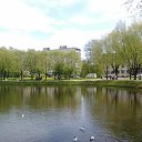 ���� �������, �����-���������, 51 ��� - ��������� 23 ������� 2011