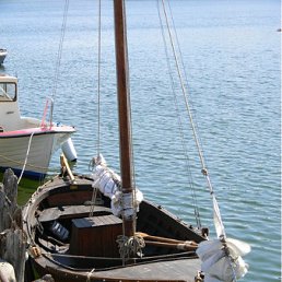 ���� �����, ������, 46 ��� - ��������� 1 ������� 2011