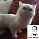 ���� ˸��, ����, 44 ���� - ��������� 26 ���� 2012 � ������ ������