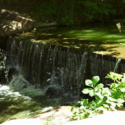 ���� �����, ����������� - ��������� 11 ������ 2012