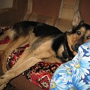 ���� �����, ����������� - ��������� 12 ������ 2011 � ������ ���� ����������