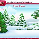 ���� ����, ������, 39 ��� - ��������� 20 ������ 2011 � ������ �PetLove�