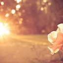 ���� ������, ������-��-����, 30 ��� - ��������� 1 ��� 2012 � ������ ������