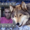 ���� Volf, ������, 42 ���� - ��������� 22 ������ 2012 � ������ ���
