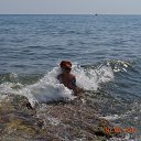 ���� ������, ���, 44 ���� - ��������� 22 ������� 2012 � ������ ���� ����������