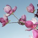 ���� ���, ������ - ��������� 13 ������ 2010 � ������ �������