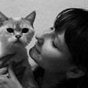 ���� ��������, ������������, 34 ���� - ��������� 16 ������� 2011 � ������ ���� ����������