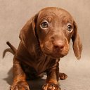 ���� �����, ���� - ��������� 25 ������� 2013 � ������ ���� ������ ������� �����, ��� ������ �������� ������)))�