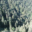 ���� ���������, ����, 53 ���� - ��������� 4 ������� 2011 � ������ �������������