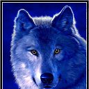 ���� White-wolf, ������, 39 ��� - ��������� 22 ������ 2012