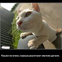 ���� ����� �., �����������, 42 ���� - ��������� 8 ������� 2010 � ������ ����������� ))�