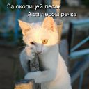 ���� �������, ������������, 54 ���� - ��������� 5 ���� 2013 � ������ ���� ����������