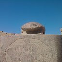  White Rose,  -  24  2013    