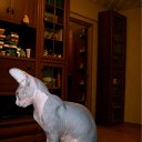 ���� �����, ������ - ��������� 26 ������ 2010 � ������ ���������� ������