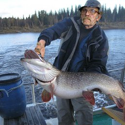 ���� ��������, �����������, 72 ���� - ��������� 25 ��� 2012