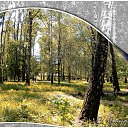 ������ Photoshop �� ������� ���� ����������