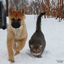 �������� �� ������� ������� ������� �����