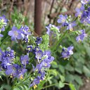 ���� �����, ������, 39 ��� - ��������� 23 ���� 2010 � ������ �� ���������� ��������...�