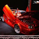���� ���������, �����������, 44 ���� - ��������� 15 ������ 2009 � ������ �����