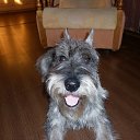 ���� ������, ��������� - ��������� 17 ������� 2012