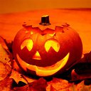 ���� ����, ������, 43 ���� - ��������� 28 ������� 2010 � ������ �������